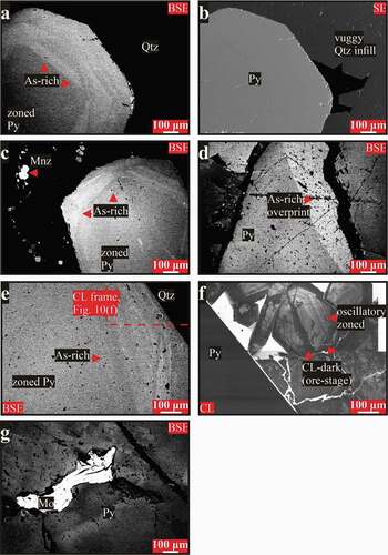 Figure 10. Collection of SEM imaging (BSE, CL and SE) shows some specific features displayed by the Jinqingding deposit. (a) BSE image shows concentrically zoned As-rich pyrite with pyritohedral crystal form, (b) SE image shows the same, previous pyrite crystal in vuggy comb-like quartz, (c) BSE image shows monazite occurs in close association with concentrically zoned As-rich pyrite, (d) BSE image shows early unzoned pyrite overprinted by As-rich event (alteration rim) along a fracture, (e) BSE image shows concentrically zoned As-rich pyrite, (f) CL imaging of the approximate area shown in (e) by the red dashed box. Oscillatory zoned quartz is overgrown and cut by CL-dark generation (ore stage), and (g) BSE image shows fractures in early pyrite filled by molybdenite. Abbreviations: Qtz = quartz; Py = pyrite; Mnz = monazite; Mo = molybdenite