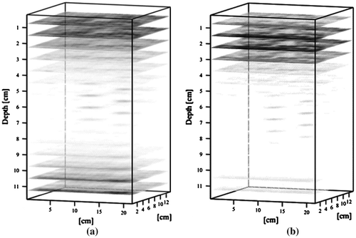 Figure 17. Three-Dimensional imaging obtained with the ‘Transducer’ recorded signal as (a) a matched filter and (b) with the Total Variation (TV) method.