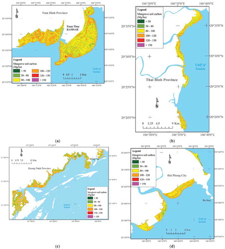 Figure 5. Prediction of spatial patterns of mangrove soil carbon maps in the study area