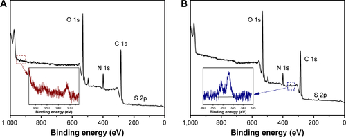 Figure S2 XPS survey spectra of Z1/CMCS1-TA/Cu12+ (A) and Z1/CMCS1-TA/Ca2+ (B).Notes: The Z1/CMCS1 NPs were prepared at zein:CMCS ratio of 1:1 w/w with the final metal ion concentration of 0.24 mM (Cu12+ or Ca2+).Abbreviations: CMCS, carboxymethyl chitosan; TA, tannic acid; XPS, X-ray photoelectron spectroscopy; Z1, zein1.