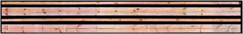 Figure 2. Example of images used for image-based grading. All four faces of the sawn timber are shown.