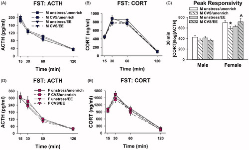 Figure 5. Adolescent enrichment blocks adulthood emergence of acute stress-induced adrenal hypo-responsivity caused by adolescent chronic stress in females. (A) There were no significant effects of enrichment or CVS on plasma ACTH or (B) corticosterone concentrations in males (four-way repeated measures ANOVAs). (C) Adolescent stress decreased peak adrenal responsivity in females that were unenriched, while enrichment increased peak adrenal responsivity in females that were stressed (three-way ANOVA, Sidak; *p < 0.05 vs. unenriched/unstressed females, ∧p < 0.05 vs. unenriched/CVS females). (D) There were no significant effects of enrichment or CVS on plasma ACTH or (E) corticosterone concentrations in females (four-way repeated measures ANOVAs) (n = 10/group; Data are mean ± SEM; ACTH: adrenocorticotropic hormone; CORT: corticosterone); CVS: chronic variable stress; EE: environmental enrichment; FST: forced swim test.