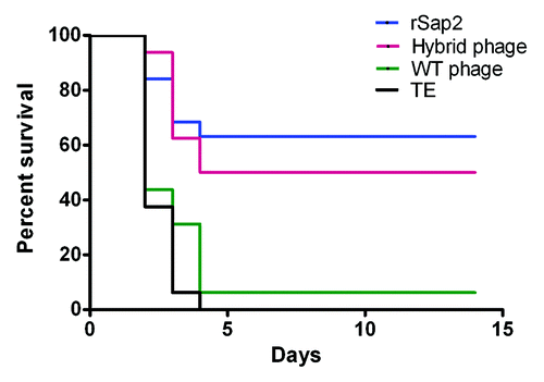 Figure 8. Percent survival in mice immunized with different immunogens. Eight mice of each group were inoculated with 107C. albicans after the third immunization and repeat this simple about 2 times. The survival was evaluated for 10 d after challenge.