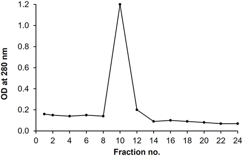 Figure 1 Purification of the SAG1 antigen by DEAE-Sephadex A-50 ion exchange chromatography. The OD280 profile of the antigen fractions obtained following purification by DEAE Sephadex A-50 ion exchange chromatography. The eluted antigen is represented by a single peak with maximum OD value equal to 1.2 at fraction number 10 (represented the fraction with the highest protein content).