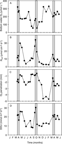 Figure 20.  Seasonal variations in the bottom water O2 concentration (A), the average volume-specific O2 consumption (Rvol) (B), the O2 penetration (C) and the DOU (D) measured in central Aarhus Bay (1990–1991). Grey bars reflect periods with intensified sedimentation (redrawn from Glud et al. 2003).