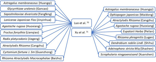 Figure 3 TCM therapies used in China for the avoidance of COVID-19 infection.