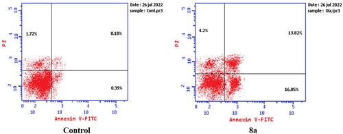 Figure 16. Representative dot plots of PC-3 cells treated with 8a (10.95 μM) for 24 h and analysed by flow cytometry after double staining of the cells with annexin-V FITC and PI.