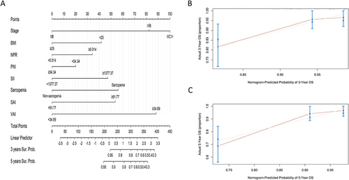 Figure 2 Nomogram for predicting survival. (A) Nomogram to predict the 3-year and 5-year overall survival rates of LACC patients. Calibration plot of the nomogram for the (B) 3-year and (C) 5-year survival rates.