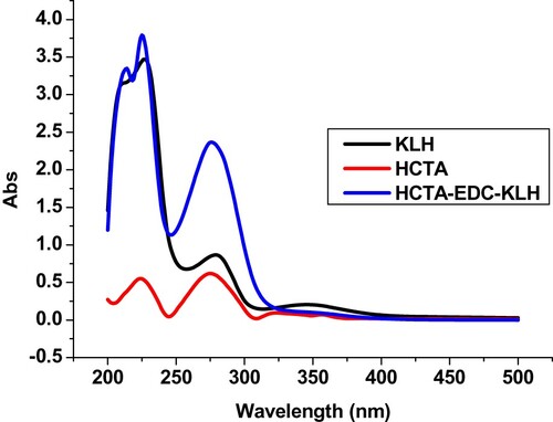 Figure 2. The UV spectra characterisation for HCTA, KLH, and HCTA-EDC-KLH