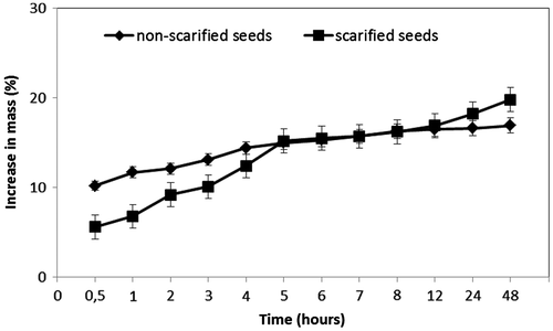 Figure 2. Mean (± SE) increase in mass of sulphuric-acid-scarified and non-scarified seeds of Malvella sherardiana incubated on filter paper moistened with distilled water at approximately 23°C.