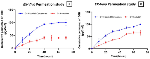 Figure 7 Ex-vivo Skin permeation profile (a) for Cycosporine and (b) for Dithranol, from CsA-DTH loaded Cerosomes compared to CsA-DTH solution.