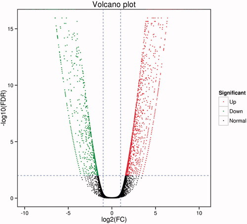 Figure 2. Volcano graphs of all DEG enrichment. Each point in the volcano diagram represents one differentially expressed gene, and the x-axis represents the log 2 (fold change) and the y-axis shows the –log 10 (1 − P). The greater the absolute value of the horizontal coordinate, the greater the difference between the two samples. The larger the ordinate value, the differential expression is more significant, and the differentially expressed gene is more reliable. In the green dots, the differentially expressed gene is down-regulated, and the red dots represent the differentially expressed genes. The black dots represent the non-differentially expressed genes.