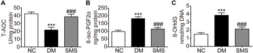 Figure 3 SMS prevents oxidative stress in the diabetic myocardium. Oxidative stress in the myocardial tissues was determined by measuring levels of (A) T-AOC, (B) 8-iso-PGF2α, and (C) 8-OHdG. Results are presented as means ± standard deviation. ***p < 0.001 vs the NC group and ### p < 0.001 vs the DM group (n = 6 rats per group).