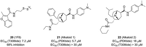 Figure 15. Structure and biochemical characterisation of the allosteric inhibitors directed to the PIF-pocket of PDK1. EC50 (T308tide): compound concentration is required for 50% of maximum effect. EC50 (PDKtide): compound concentration is required to result in 50% displacement of the PDKtide from the PIF-pocket or ATP site in an AlphaScreen interaction-displacement assay.