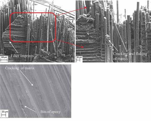 Figure 8. Fracture surface SEM image of rain water-soaked specimens.