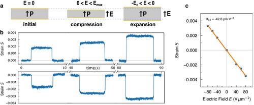 Figure 5. DC step voltage measurements and piezoelectric coefficient estimation. (a) Representation of the negative piezoelectric behaviour. (c) Plot of the S and E values collected from (b) in S as a function of E chart: the linear fitting gives d33.