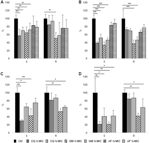 Figure 2 Effect of antimicrobial treatment on S. aureus and P. aeruginosa biofilm analyzed by means of confocal laser scan microscopy. Data are expressed as percentage reduction with respect to control. (A) Prevention of S. aureus biofilm formation. (B) Treatment of S. aureus pre-formed biofilm. (C) Prevention of P. aeruginosa biofilm formation. (D) Treatment of P. aeruginosa pre-formed biofilm. S = MSSA or P. aeruginosa susceptible to carbapenems, R = MRSA or P. aeruginosa resistant to carbapenems. Ctrl, control (black bars), CQ, chlorquinaldol (½ MIC, bars with thicker vertical lines, ¼ MIC, bars with thinner vertical lines), GEN, gentamicin (½ MIC, bars with thicker oblique lines, ¼ MIC, bars with thinner oblique lines), FA, fusidic acid (½ MIC, bars with thicker horizontal lines, ¼ MIC, bars with thinner horizontal lines). *p<0.01. **p<0.005, ***p<0.001.