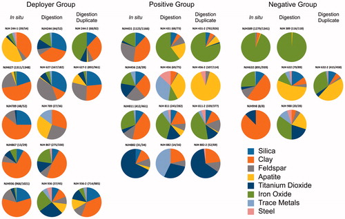 Figure 4. Pie diagrams summarizing the relative abundance of the eight major phase classes (silica, clay, feldspar, apatite, titanium dioxide, iron oxide, trace element-rich particles and steel) in samples for which in situ and digested tissue particles were identified and counted. For some samples, a duplicate of the filtered digested material was counted. The duplicate for sample 244 is an analysis of a second tissue slice. The numbers in parenthesis (#/#) display the ratio of the sum of all particles in the 8 major phase classes (silica, clay, feldspar, apatite, titanium dioxide, iron oxide, trace metals and steel) over the sum of all particles identified in that sample. The remainder of particles occurred at minor to trace amounts and did not fall into one of these 8 major phase classes. Data are compiled in Lowers et al. (Citation2016).