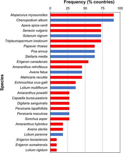 Figure 3. Herbicide-resistant weed species ranked in terms of their frequency of occurrence among 11 European countries identified as strongly associated with New Zealand using hierarchical cluster analysis. Species associated with blue bars are those already known to be herbicide-resistant weeds in New Zealand.