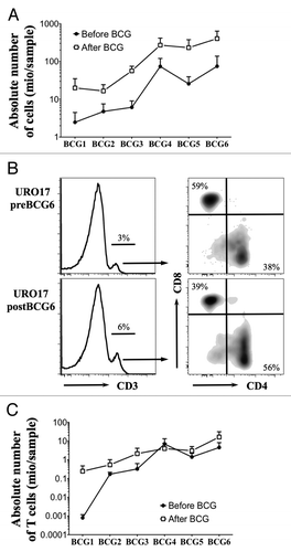 Figure 1. Ex vivo analysis of urine T cells during BCG therapy. (A) Mean +/− SEM of the absolute number of total cells recovered from urine samples before (white square) and after (black square) each BCG instillation (n = 11 patients). (B) Representative example of ex vivo CD3, CD8 and CD4 staining of urine cells from one NMIBC patient before and after the sixth BCG treatment. CD8 and CD4 dot plots are gated on CD3+ population. (C) Mean +/− SEM of absolute number of CD3 T cells from the analyzed urine samples before (white square) and after (black square) each BCG instillation (n = 9 patients).