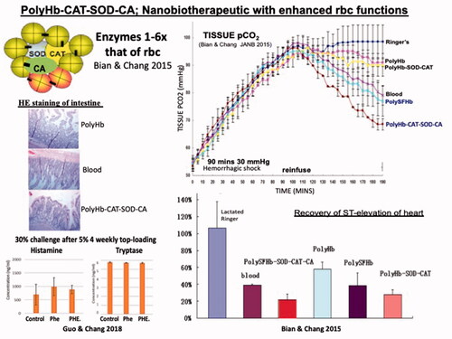 Figure 10. Upper left: Polyhemoglobin-catalase-superoxide dismutase-carbonic anhydrase can have up to 6 times red blood cell enzyme concentration. In a rat hemorrhagic shock model with 2/3 blood volume loss and 90 mins sustained shock the result is as follow: Upper right: significant faster lowering of the elevated tissue pCO2 and Lower Right: faster recovery of the ischemic heart Middle right: intestine having better histological finding. Lower left: Test for anaphylactic reaction: no significant increase in tryptase nor histamine. Above figures from Chang’s group [Citation29,Citation32,Citation36].