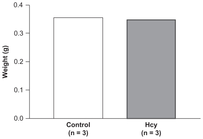 Figure 2 No difference was observed in right tibia wet weight in Hcy-treated rats. There was no difference in the tibia wet weight between control and Hcy-treated rats.