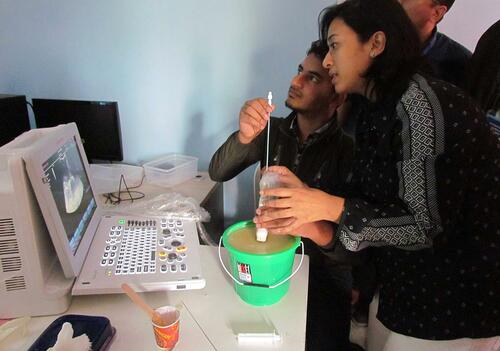 Figure 5 Participants practicing USG guided intervention in locally made gelatin-based model.