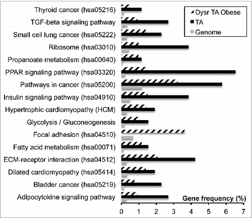 Figure 1. Pathways dysregulated in obese human adipose tissue. Gene datasets of either healthy adipose tissue or dysregulated in obesity were compared to genome in KEGG pathway enrichment using Fatigo+ software. Among the 54 pathways significantly over-represented in obesity, only the 16 pathways significantly over-represented in either differentiating and healthy adipose tissue are presented (adjusted p-value P < 0.05).