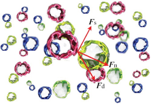 Figure 4. Schematic showing the interparticle forces.