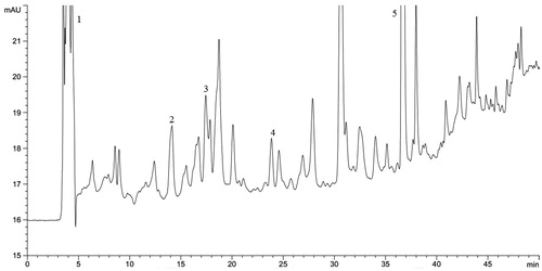 Figure 4. HPLC analysis of D. alata underground tuber extract. (1) gallic acid, (2) 4-hydroxy benzoic acid, (3) syringic acid, (4) p-coumaric acid, and (5) myricetin.