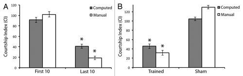 Figure 2. Software is capable of measuring successful learning with successful memory in Drosophila courtship suppression. (A) denotes learning ability during the first 10 min and last 10 min of the courtship suppression assay training phase. Grey bars indicate courtship index (CI) as computed by the software program and subsequently subjected to arcsin square root transformation. White bars indicate CI as computed manually as previously described,Citation24 and subsequently subjected to arcsin square root transformation. Note significant learning is measured by both methods. n = 36. (B) denotes memory ability of trained flies compared with sham trained flies. Grey bars indicate CI as computed by the software program and subsequently subjected to arcsin square root transformation. White bars indicate CI as computed manually, as previously described,Citation24 and subsequently subjected to arcsin square root transformation. Note successful memory in both cases. n = 30. Error bars represent ± SEM. *p < 0.05.