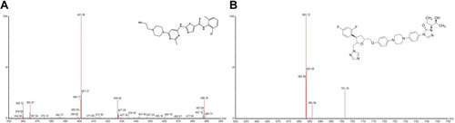 Figure 1 Mass spectra and structures of dasatinib (A) and posaconazole (B) in present study.