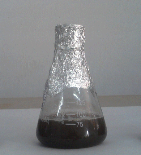Figure 5 Sample (hydrolysate) with the media.