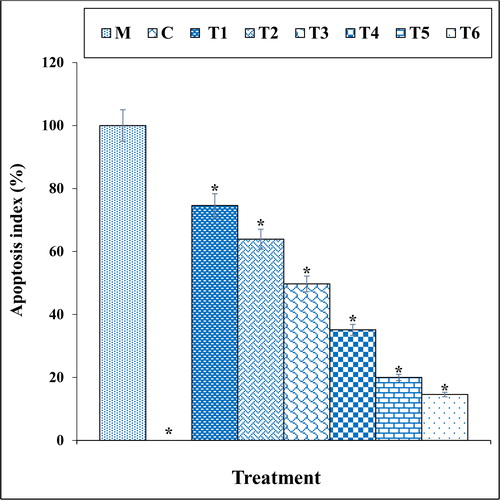 Figure 7. The apoptosis index of different treatments after 48 h.M: Methadone, C: Control, T1: 100μM methadone and 2μg of Cu(NO3)2, T2: 100μM methadone and 4μg of Cu(NO3)2, T3: 100μM methadone and 2μg of N. sativa, T4: 100μM methadone and 4μg of N. sativa, T5: 100μM methadone and 2μg of CuNPs, T6: 100μM methadone and 4μg of CuNPs.*indicate the significant difference (p ≤ 0.01) between experimental groups with methadone group.