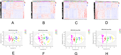 Figure 1 Metabolite hierarchical clustering and OPLS-DA analysis of Control and CKD groups.