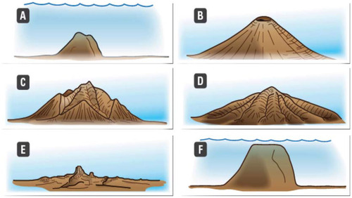 FIGURE 1. Different life phases of a hot-spot originated oceanic island. See text for the meaning of the different phases recognized (Source: CitationFernández-Palacios and Whittaker, 2010).