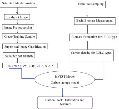 Figure 3. Method of carbon stock dynamic assessment.