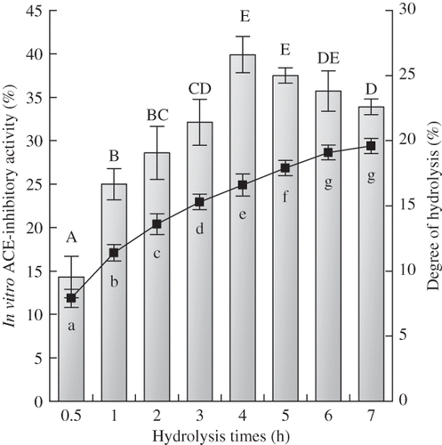 Figure 1 ACE-inhibitory activity in vitro and degree of hydrolysis of soybean protein hydrolysates prepared with different hydrolysis times. The concentration of soybean protein hydrolysates for ACE-inhibitory activity assay was 1 mg/mL on a peptide basis. The bars were for the ACE-inhibitory activity of the hydrolysates and the solid line was for degree of hydrolysis. Different capital letters A to E (or lowercase letters a to g) above the columns (or below the line) indicate that one-way ANOVA of means obtained are significantly different (P < 0.05).