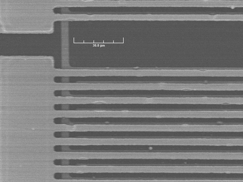 Figure 14. Top down SEM of the edge of single device after release.