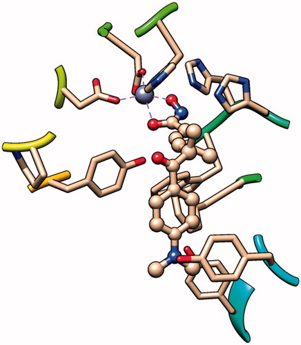 Figure 3. The binding pattern of TSA in the active site of HDAC8 (PDB entry: 1T64).