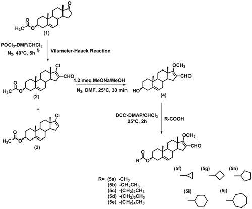 Figure 2. Route of synthesis of dehydroepiandrosterone derivatives.Reagents and conditions: Vilsmeier–Haack reaction: phosphorus oxychloride (POCl3), dimethylformamide (DMF), chloroform (CHCl3), reflux (). Addition–substitution reaction: sodium methoxyde (NaOMe), methanol (MeOH), nitrogen (N2). Esterification reaction: dicyclohexylcarbodiimide (DCC), dimethylaminopyridine (DMAP).