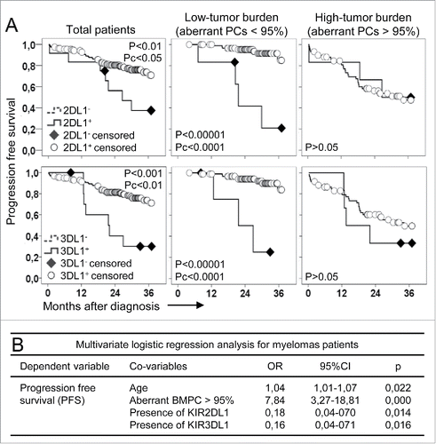 Figure 2. The impact of KIR genotype on myeloma progression free survival depends on tumor burden. (A) Patients with KIR2DL1− (KIR2DL1−L2+L3−, p < 0.01; Pc p < 0.05; top, left graphs) or KIR3DL1− (p < 0.001; Pc < 0.01; bottom, left graphs) genotypes showed significant lower progression free survival than the remaining patients. These differences were more intense and significant (p < 0.00001; Pc p < 0.0001 for both genotypes, middle graphs) in patients with low-tumor burden (aberrant plasma cells -PCs- <95%, equivalent to 6.4 ± 0.8% of PCs in the bone marrow). No differences in the progression free survival were observed in patients with high-tumor burden (aberrant PCs > 95%, equivalent to 29.3% ± 2.7% of PCs in the bone marrow; right graphs). (B) Multivariate logistic regression analysis confirmed that age (OR, 1.04; p = 0.022) and high-tumor burden (OR, 7.84; p = 0.000) significantly and independently increased the risk of myeloma progression. However, presence of any KIR2DL1 (OR, 0.178; p = 0.014) or KIR3DL1 (OR, 0.164; p = 0.016) significantly and independently protected from disease progression.