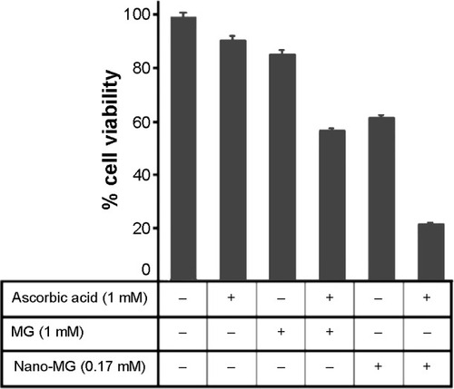 Figure 6 In vitro viability studies of EAC cells treated with MG and Nano-MG.Notes: EAC cells (3×103) were suspended in 0.9% NaCl solution and incubated with various combinations of Nano-MG, MG, and ascorbic acid for 2 hours. Viability testing was done using the trypan blue dye exclusion method. Data represent the mean of four different experiments.Abbreviations: EAC, Ehrlich ascites carcinoma; MG, methylglyoxal; Nano-MG, MG-conjugated chitosan nanoparticles.