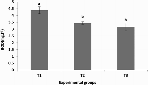 Figure 8. The mean values of water BOD5 during 120 days rearing for all experimental groups. Means with different superscripts are significantly different (P < 0.05).
