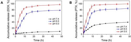 Figure 4 In vitro DOX (A) and PTX (B) release profiles of PTX/DOX-PMs in PBS at pH 7.4, pH 6.5, pH 5.0 (n = 3, mean ± SD).Abbreviations: DOX, doxorubicin; PTX, paclitaxel; PMs, polymeric micelles; PTX/DOX-PMs, paclitaxel and doxorubicin-loaded polymeric micelles; PBS, phosphate buffer solution.
