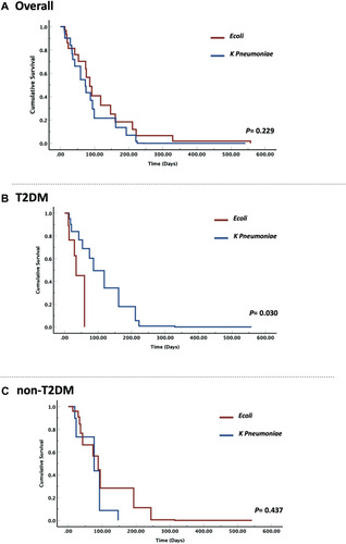 Figure 5 Hazard ratios and cumulative survival curve in the two ESBL-positive UTI groups in accordance with T2DM status. (A) Risk estimate for all-cause mortality between E. coli and K. pneumonia in all ESBL-UTI cases. Representative data showing that the risk was non-significant for ESBL-E. coli and K. pneumoniae uropathogens in all ESBL-UTI cases. (B) Risk estimate for all-cause mortality between E. coli and K. pneumonia in T2DM ESBL-UTI cases. Representative data showing that T2DM with ESBL-E. coli had higher risk of all-cause mortality than those with ESBL-K. pneumoniae. (C) Risk estimate for all-cause mortality between E. coli and K. pneumonia in non-T2DM ESBL-UTI cases. Representative data showing that the risk was non-significant for ESBL-E. coli and K. pneumoniae uropathogens in non-T2DM.