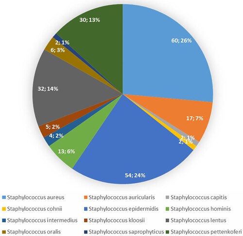 Figure 2. Relative abundance of staphylococcal species in current samples. Pie chart performs the abundance of species as a percentage of the entire microbial community.