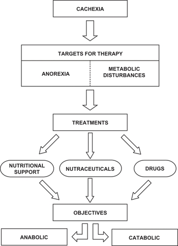 Figure 1 Therapeutic targets for cancer cachexia. There are different therapeutic approaches to fight anorexia and metabolic disturbances based in the combination of nutritional support, nutraceuticals and specific drugs. The objectives for cachexia treatment are two: anticatabolic (directed towards both fat and muscle) and anabolic (leading to the synthesis of macromolecules).