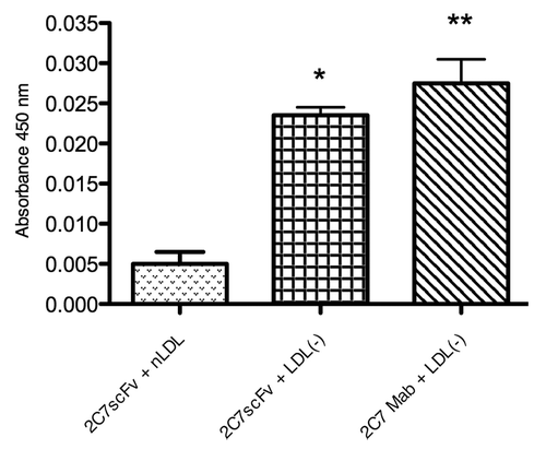 Figure 3. Evaluation of the specificity of 2C7 scFv to LDL(-) by ELISA. 2C7 scFv was added at a concentration of 20 µg/mL to ELISA microplate coated with 1 µg/mL of LDL(-) or nLDL. The microplate was incubated with an anti-His mouse IgG antibody and HRP-conjugated anti-mouse IgG. The absorbance was measured at 450 nm. The results of independent experiments, performed in triplicate, are expressed as the means ± SEM *p < 0.05; **p < 0.01 compared with control; ANOVA followed by the Tukey-Kramer test.