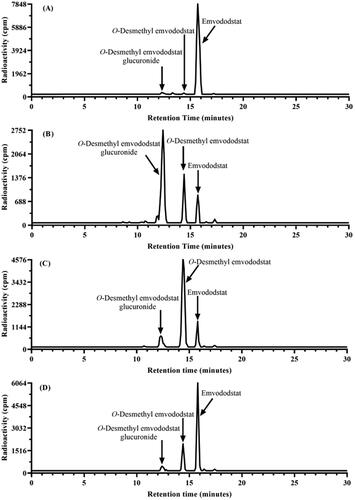 Figure 2. Metabolite profiles of 14C-emvododstat at 2 µM after 4 h incubation with rat (A), dog (B), monkey (C), and human (D) hepatocytes.